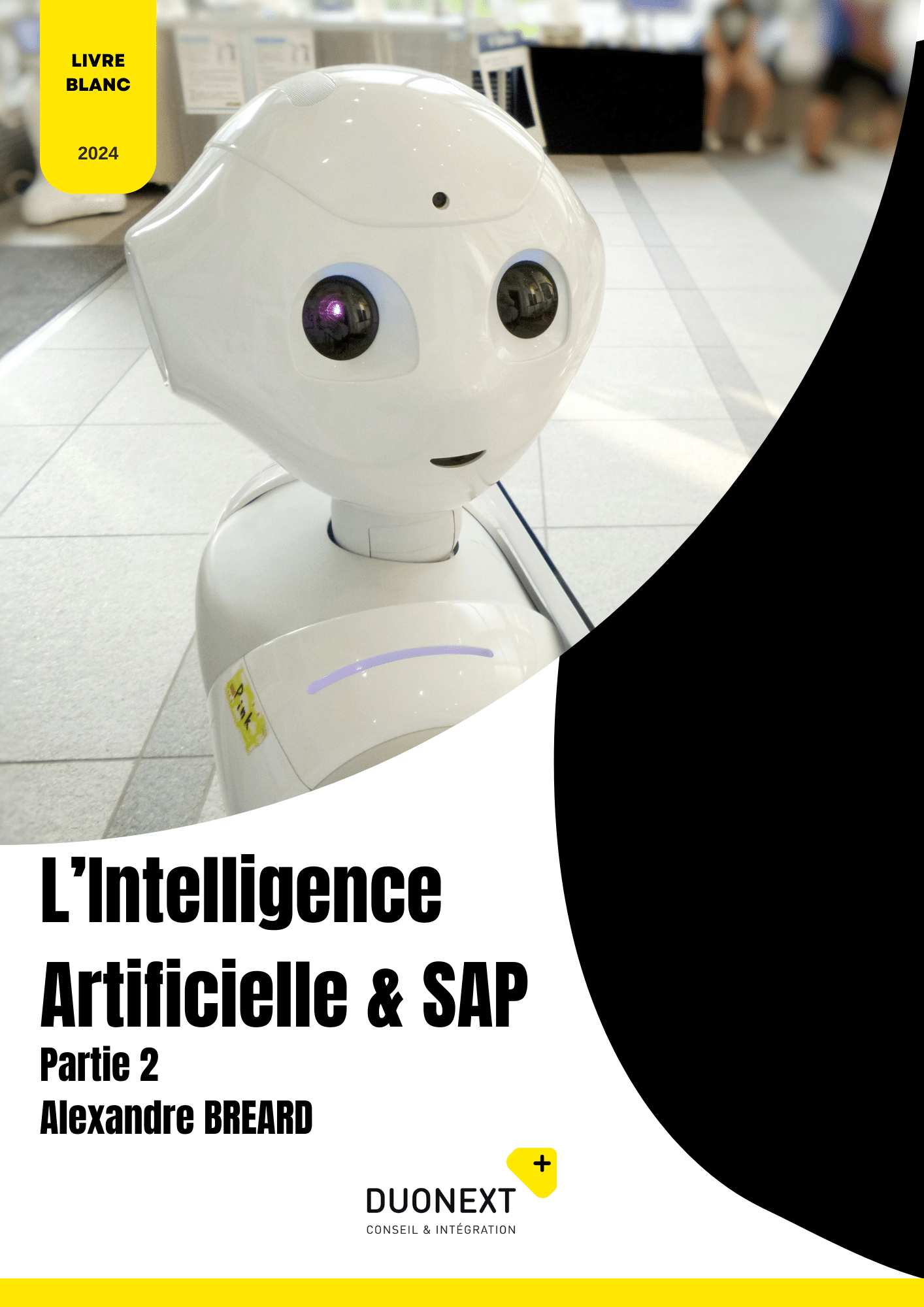 L'IA & SAP PART-2 PAR ALEXANDRE BREARD